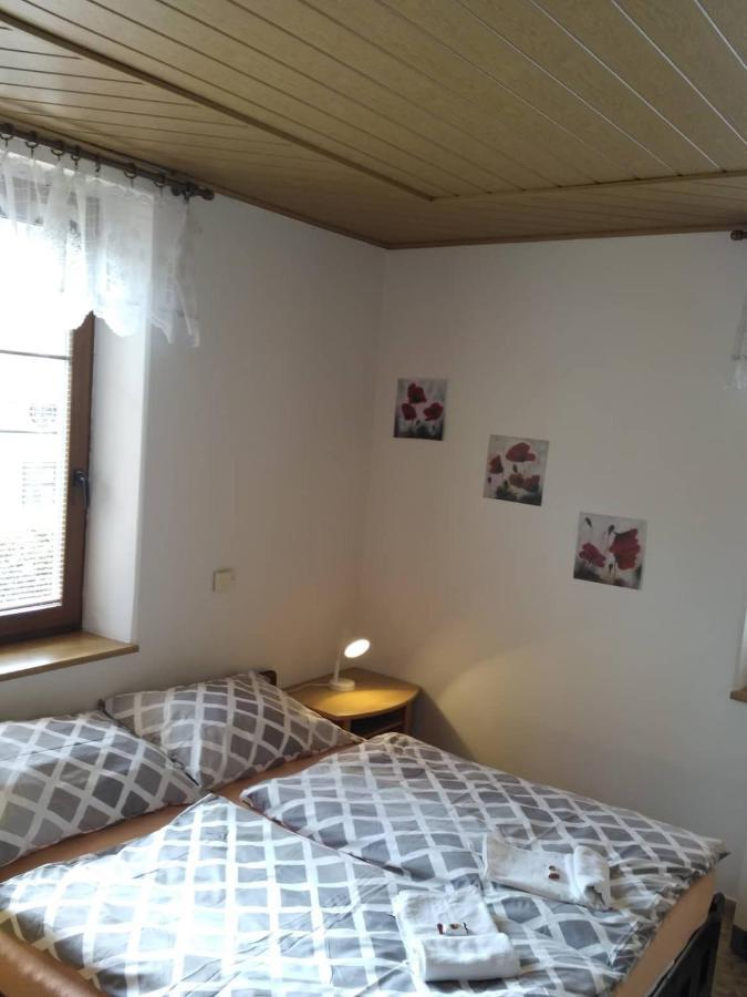 Apartma Doubek Рокицани Экстерьер фото